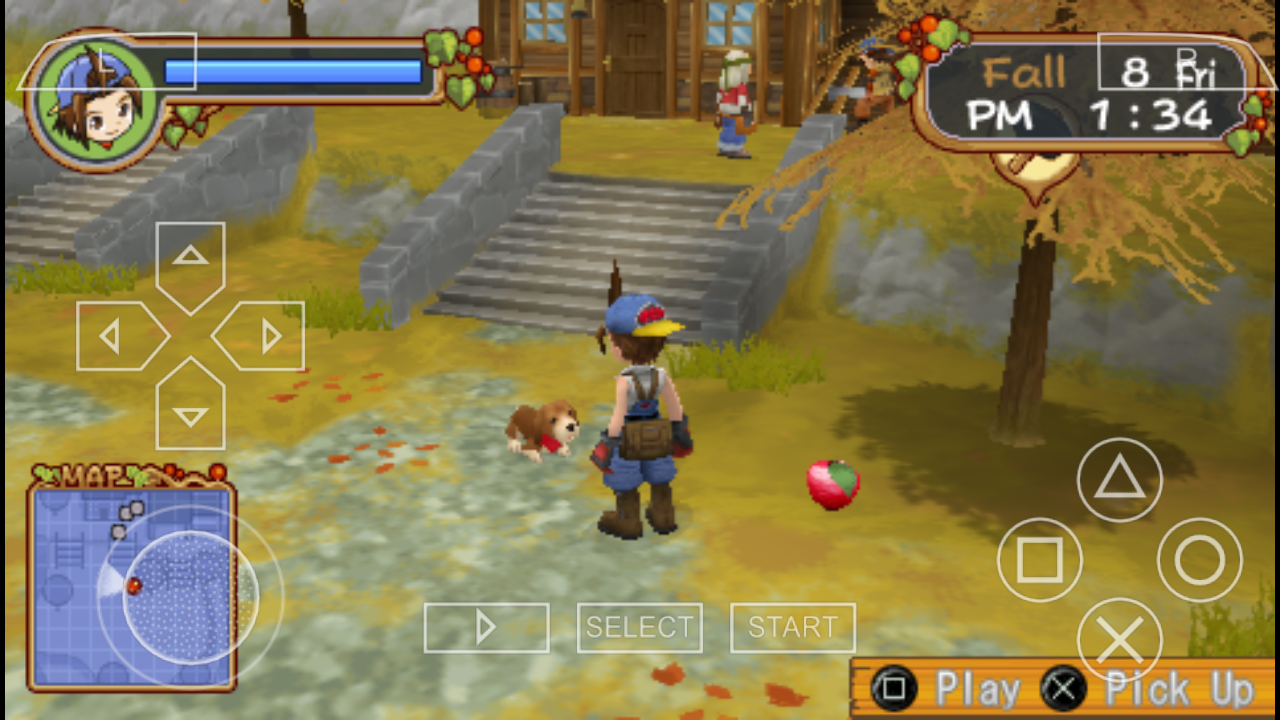 Download Cheat Harvest Moon Boy And Girl Ppsspp Lengkap